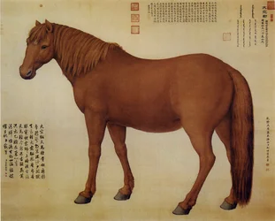 Un cheval nommé Dawanliu